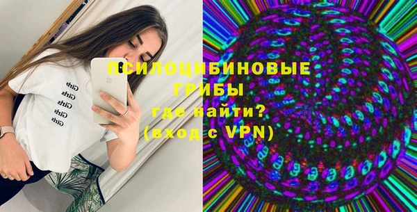 амф Осташков