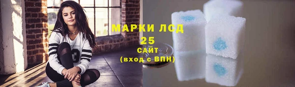 амф Осташков