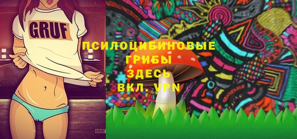 амф Осташков