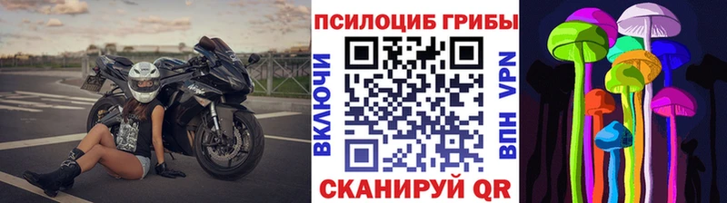 Псилоцибиновые грибы мухоморы  Порхов 